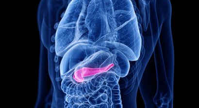 Endoskopische retrograde Cholangiopankreatikographie (ERCP)
