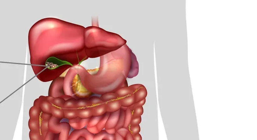 Gallenwegserkrankungen - OA Dr. Lukas Wagner - Gastroenterologe u. Hepatologe Wien 1190