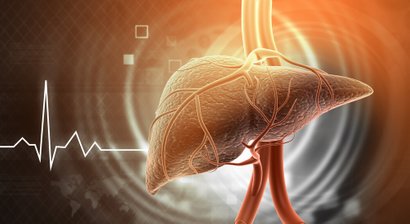 Autoimmunerkrankungen der Leber
