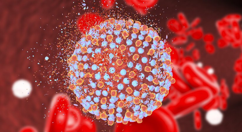 Akute und chronische Hepatitis - OA Dr. Lukas Wagner - Gastroenterologe u. Hepatologe Wien 1190