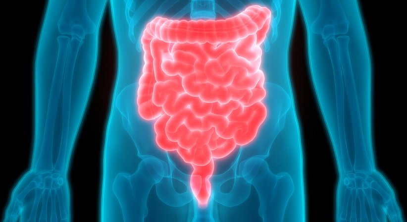 Divertikelkrankheit / Divertikulitis - OA Dr. Lukas Wagner - Gastroenterologe u. Hepatologe Wien 1190