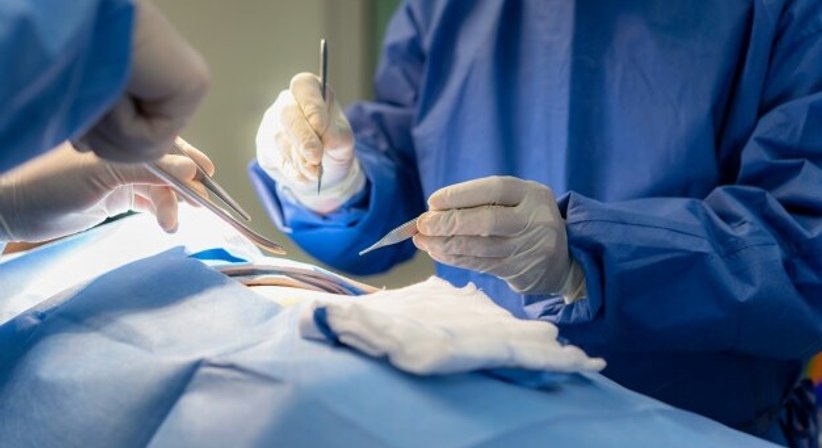 Operationen des Dünn- und Dickdarms - Priv. Doz. Dr. Ruxandra Ciovica - Allgemeinchirurgin/Viszeralchirurgin Wien 1010