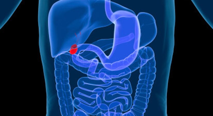 Chirurgie der Gallenblase - Priv. Doz. Dr. Ruxandra Ciovica - Allgemeinchirurgin/Viszeralchirurgin Wien 1010