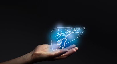 Gallenerkrankungen: Gallenblase, Gallensteine