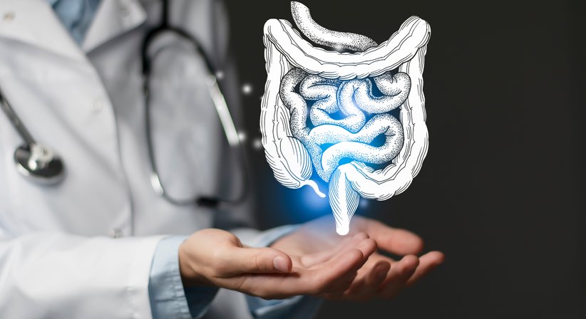 Darm- und Enddarmerkrankungen: Hämorrhoiden, Analfistel, Analfissur - OA Dr. Alexis Freitas, F.E.B.S. - Allgemeinchirurg/Viszeralchirurg Wien 1090