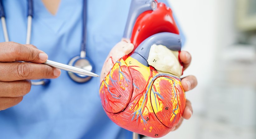 Herzchirurgie - Univ.Prof. Dr. Marek Ehrlich - Allgemeinchirurg Wien 1190