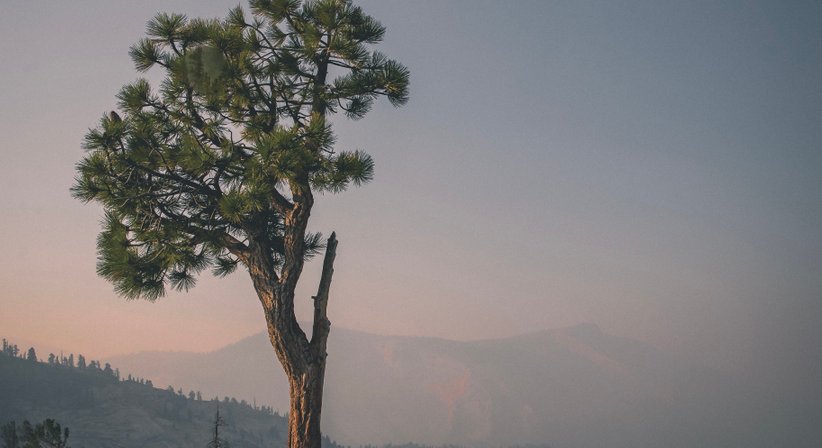 Schlaganfall - Dr. Walter Moser - Neurologe Wien 1050