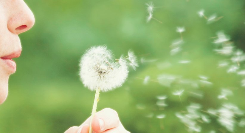 Nasenatmungseinschränkung - Dr. Rainer Schröckenfuchs - HNO-Arzt Wien 1020