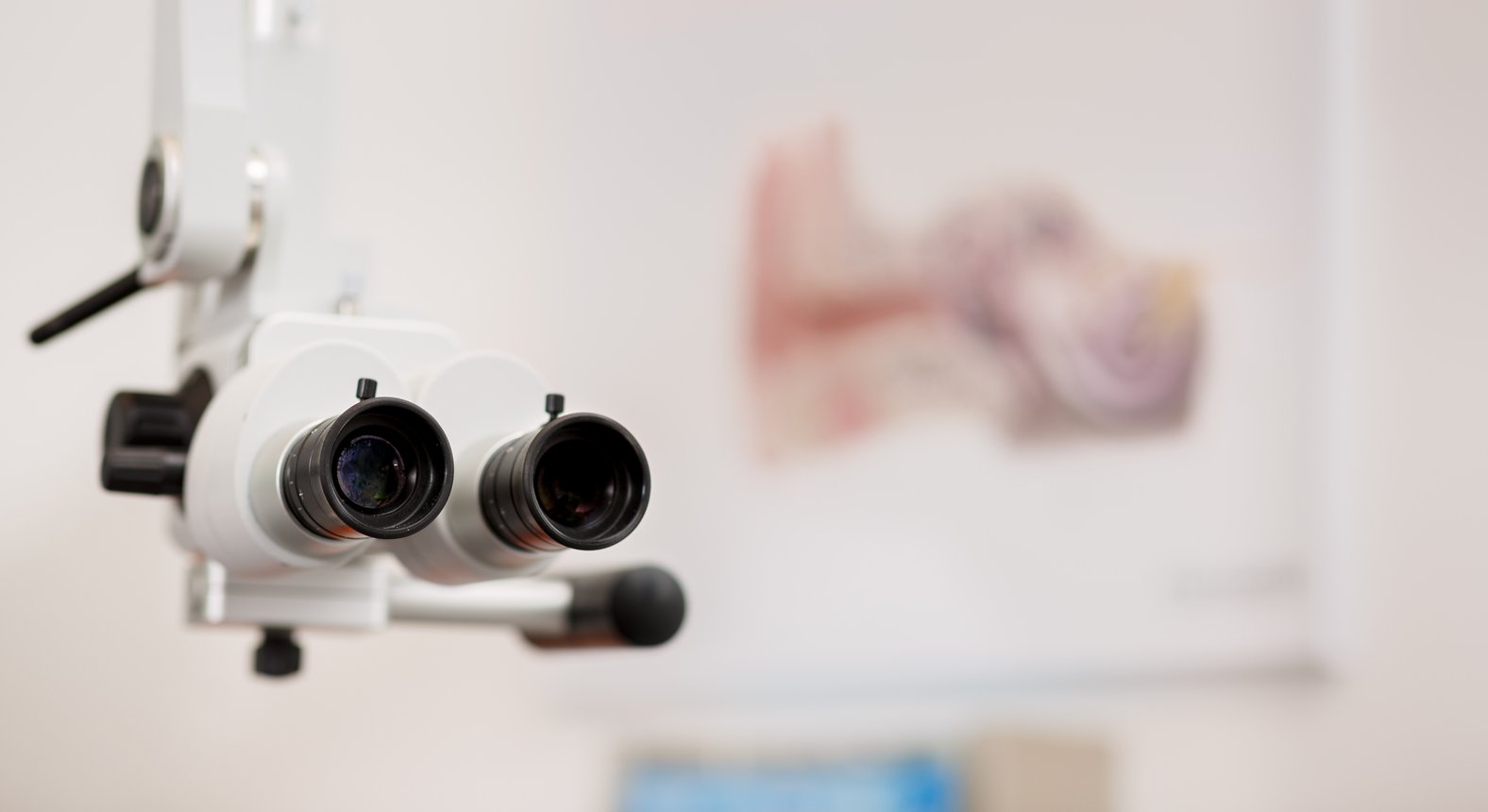 Dr. Rainer Schröckenfuchs Tinnitus HNOArzt in 1020 Wien DocFinder.at