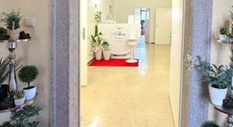 Dr. med. univ. Mag. art. Hanna Sheu, MPH - Allgemeinchirurgin Linz 4020