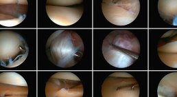 OA Priv.-Doz. Dr. Sebastian Farr - Orthopäde Wien 1010