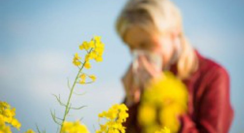 Allergien / Allergietest, Beratung und Therapie - Dr. Andrea Vogel - HNO-Ärztin Wien 1130