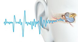 Dr. Andrea Vogel - HNO-Ärztin Wien 1130