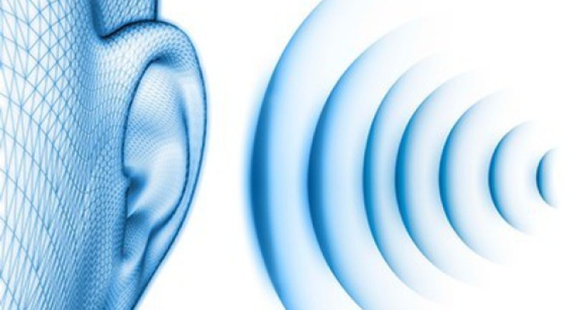 Tinnitusbehandlung  - Dr. Andrea Vogel - HNO-Ärztin Wien 1130