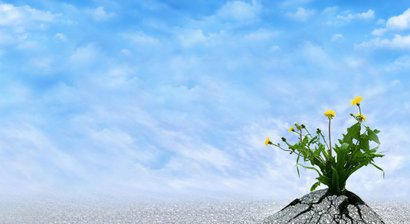 Allergietests, Beratung und Therapie