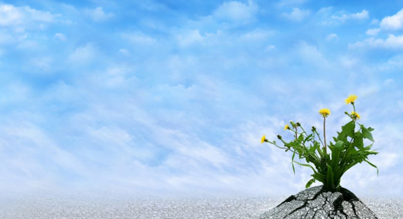 Allergietests, Beratung und Therapie - Dr. Andreas Gschnait - HNO-Arzt Wien 1130