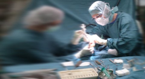 Priv.Doz. Dr. Peter Bock - Orthopäde Wien 1040