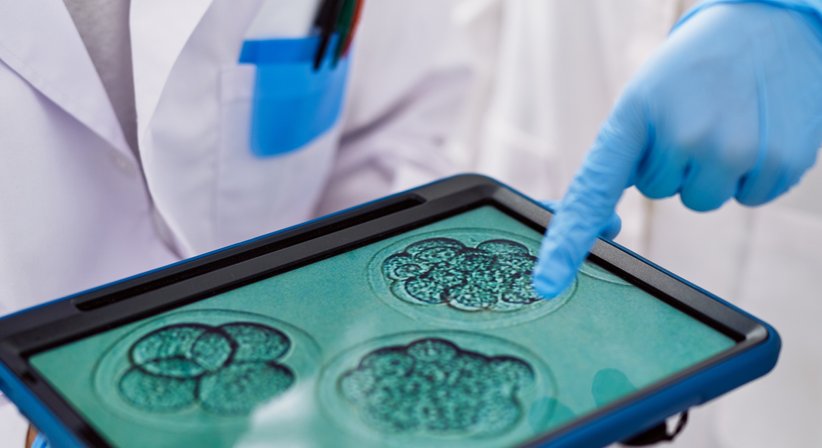 Einnistungscurettage - Dr. med. Roman Pavlik - Frauenarzt Thalheim bei Wels 4600