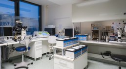 Dr. med. Roman Pavlik - Frauenarzt Thalheim bei Wels 4600