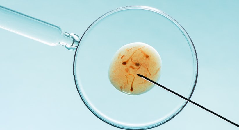 Insemination - Dr. med. Roman Pavlik - Frauenarzt Thalheim bei Wels 4600