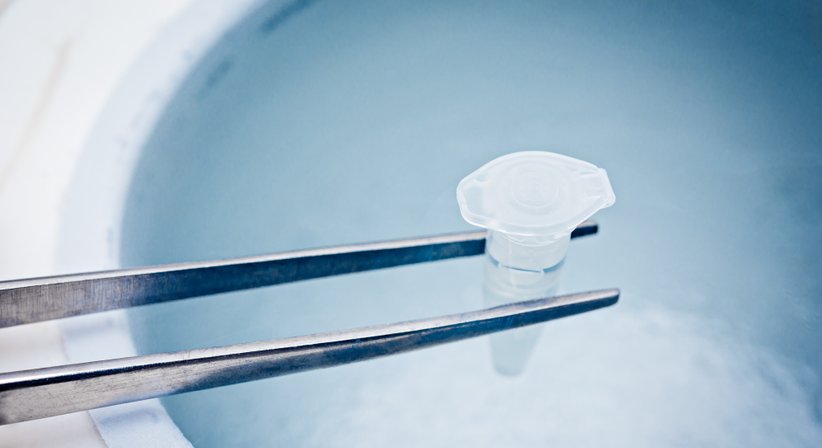 Eizellspende - Dr. med. Roman Pavlik - Frauenarzt Thalheim bei Wels 4600