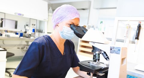 Dr. med. Roman Pavlik - Frauenarzt Thalheim bei Wels 4600