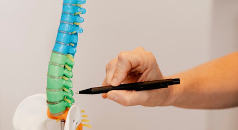 Behebung von Wirbelsäulen-/Nervenkanalengen, Wirbelsäulenversteifungen/Bandscheibenvorfalloperationen - Dr. Eleonore Hecking - Unfallchirurgin Wien 1080