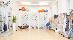 Praxis - Dr. Eleonore Hecking - Unfallchirurgin Wien 1080