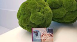 Dr. med. dent. Lisa-Maria Raffelsberger - Zahnärztin Steinhaus 4641