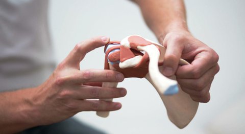 OA Dr. Philipp Grabowiecki - Orthopäde Mödling 2340