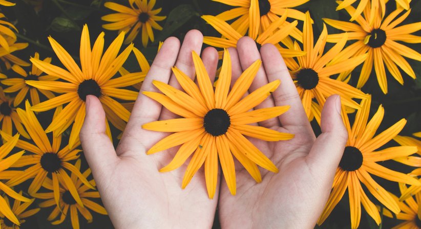 Chronisches Handekzem - Dr. Sophie Hammerer - Hautärztin Wien 1010