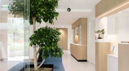 Dr. Marie Sophie Asmus - Orthopädin Wien 1140