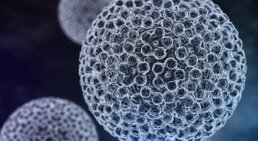 HPV -