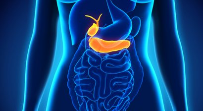 Bauchultraschall (Abdomensonografie)