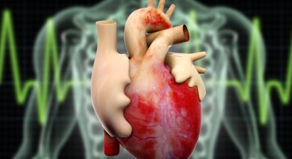 Langzeit-EKG (24h EKG)