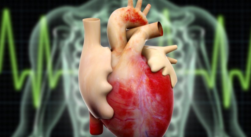 Langzeit-EKG (24h EKG) - Dr. Tania Fuchs, MSc. - Internistin Wien 1010
