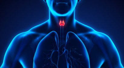 Ultraschall der Schilddrüse (Schilddrüsensonografie)