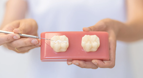 Praxis - Dr. Theresa Mihalits - Zahnärztin Draßburg 7021