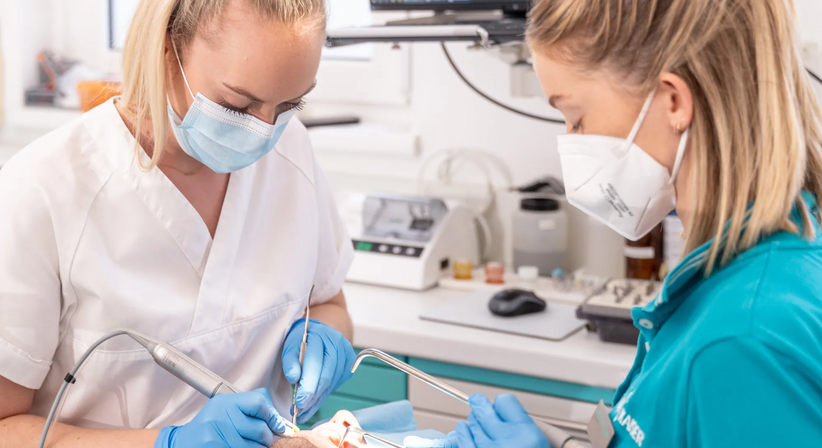 Dr. Theresa Mihalits - Zahnärztin Draßburg 7021