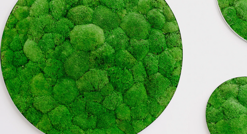 Praxis - Dr. Theresa Mihalits - Zahnärztin Draßburg 7021