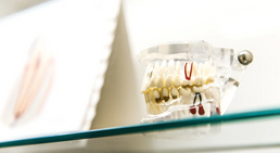 Dr. Theresa Mihalits - Zahnärztin Draßburg 7021