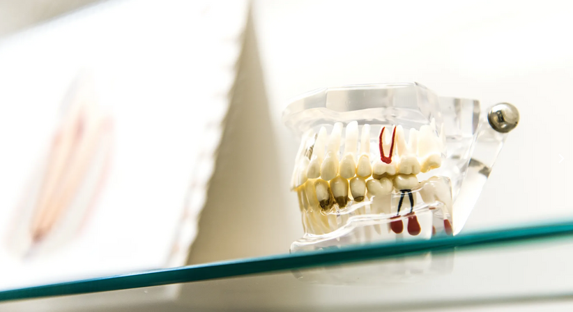 Dr. Theresa Mihalits - Zahnärztin Draßburg 7021