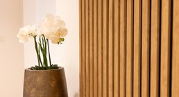 Praxis - DDr. Julia d'Aron, MSc - Zahnärztin Wien 1190