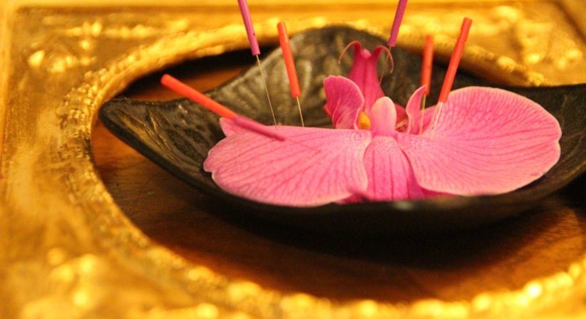 Akupunktur und Traditionell Chinesische Medizin - Dr.med.univ. Karin Frischeis-Bischofberger - Frauenärztin Alberschwende 6861