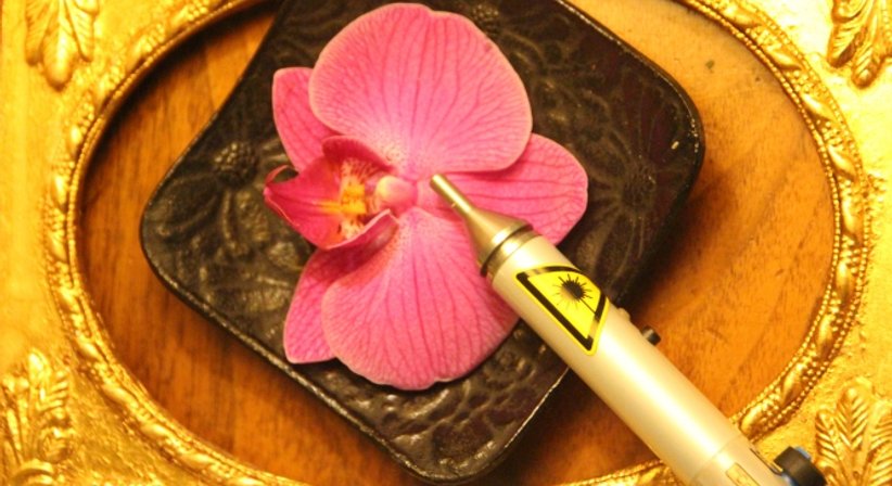 Akupunktur und Traditionell Chinesische Medizin - Dr.med.univ. Karin Frischeis-Bischofberger - Frauenärztin Alberschwende 6861