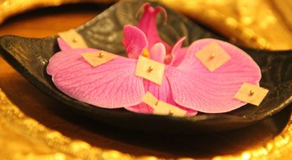 Akupunktur und Traditionell Chinesische Medizin