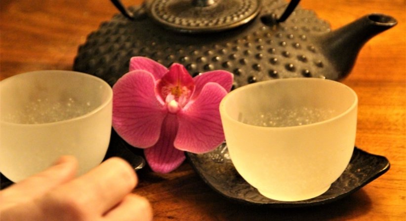 Akupunktur und Traditionell Chinesische Medizin - Dr.med.univ. Karin Frischeis-Bischofberger - Frauenärztin Alberschwende 6861