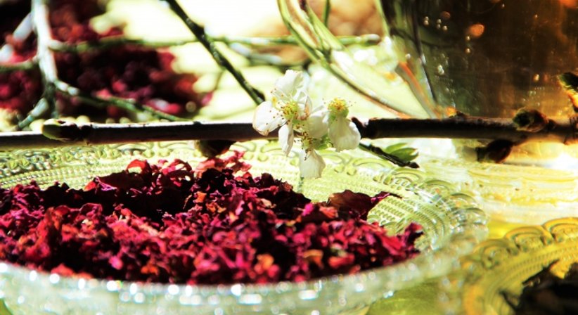 Ganzheitliche Frauenheilkunde - Dr.med.univ. Karin Frischeis-Bischofberger - Frauenärztin Alberschwende 6861