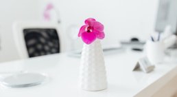 Praxis - Dr. Margit Meidinger - Hautärztin Wien 1150