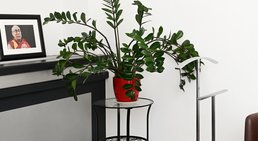 Dr. med. Gilyana Radnaeva - Praktische Ärztin Wien 1030